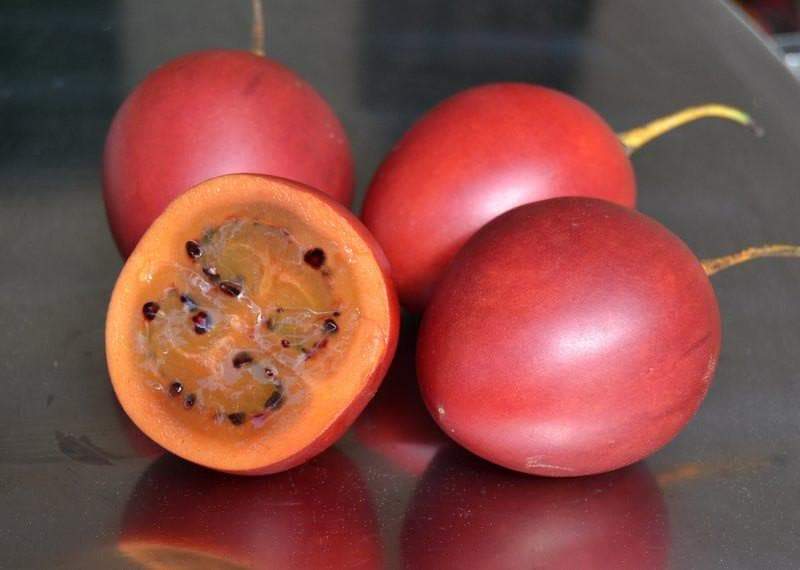 Image Prunes