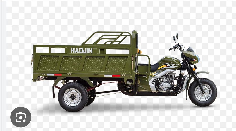 Moto 3pneus HJ200ZH-10 