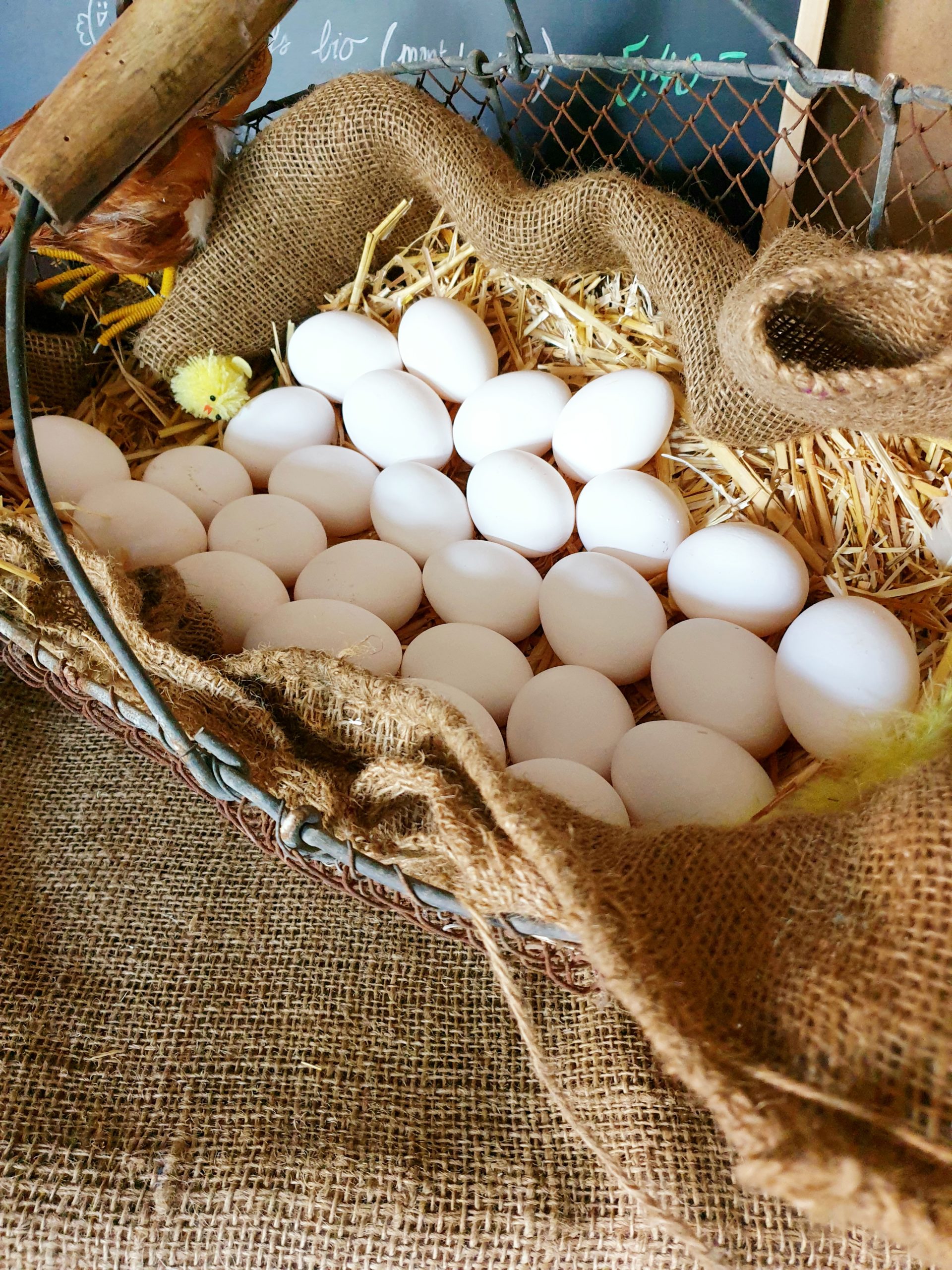 Oeuf Fermier