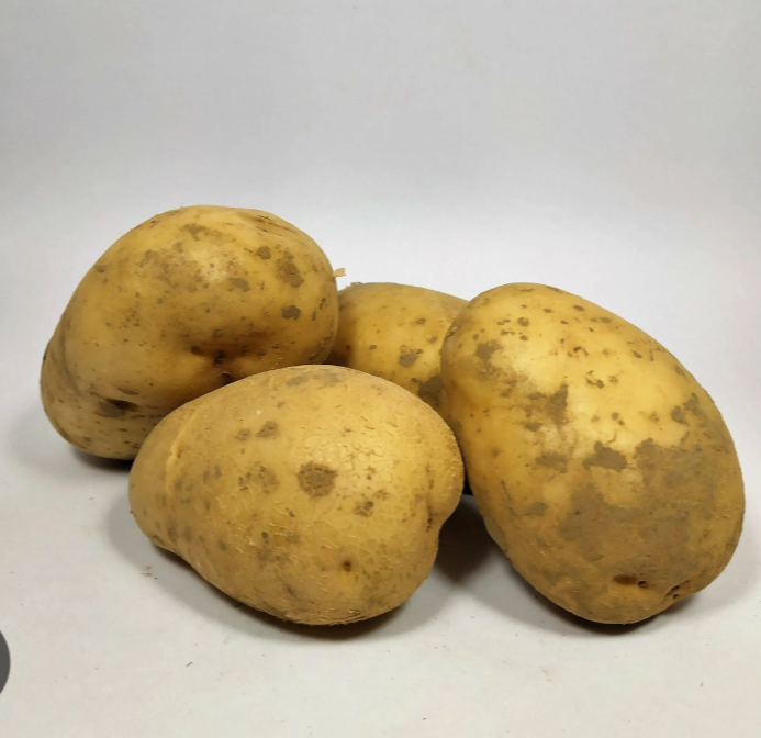 Pomme de terre